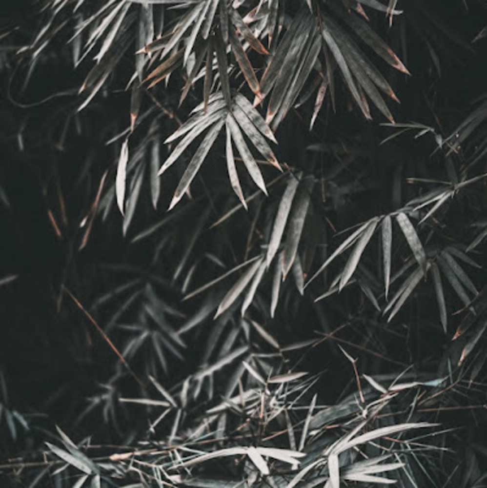 Meet your Posher, Mel